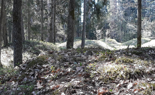 25. Drabužininkų pilkapynas.jpg